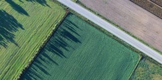 Podział nieruchomości to nie jest łatwa sprawa. Sprawdź kto i kiedy może go dokonać. Na zdjęciu działki rolne z lotu ptaka.