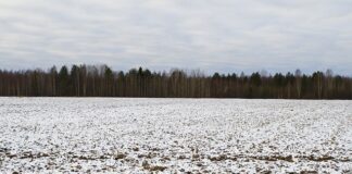 Działka budowlana to rarytas. Jednak warto wiedzieć, jakie kryteria musi spełniać.