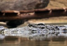 Jakie są zasady savoir vivre stosujesz w pracy?