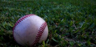 Ile kierunków studiów za darmo?