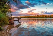 Co jeśli nie zapłacę adwokatowi?