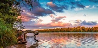 Co jeśli nie zapłacę adwokatowi?