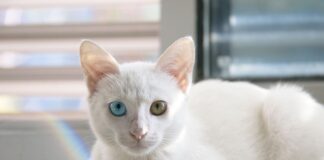 Na czym polega współdziałanie organizacji?