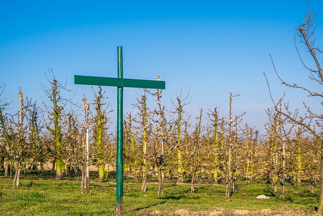 Czy konieczne jest wprowadzenie regulaminu pracy zdalnej? Czy konieczne jest wprowadzenie regulaminu pracy zdalnej?