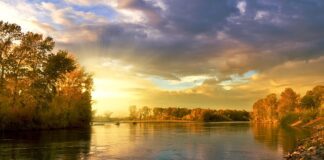 Co oznaczają kolory w radioterapii?