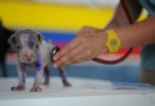 Jaki charakter ma proces kształcenia na pierwszym etapie edukacji? Jaki charakter ma proces kształcenia na pierwszym etapie edukacji?