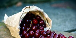 Czy trzeba zbierać paski placowe?