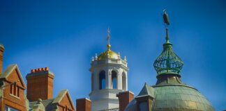 Ile ludzi z Polski dostaje się na Harvard?