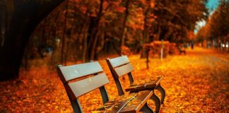 Czy dziecko ma prawo do odpoczynku?