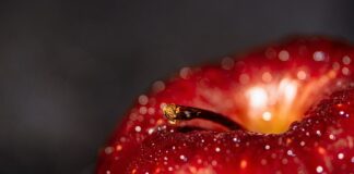 Jakie są korzyści z umowy o pracę na czas nieokreślony?