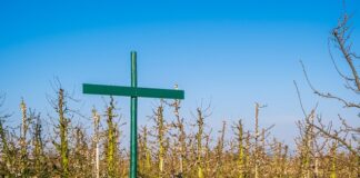 Czy trzeba tworzyć regulamin pracy zdalnej?