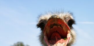 Jakie są Twoje propozycje aktywności ruchowych dla dzieci do 3 roku życia?