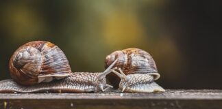 Jakie czujniki do inteligentnego domu?