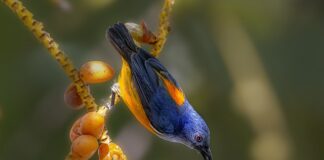 Kiedy Windows 10 nie będzie wspierany?