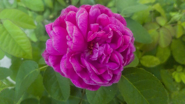 Kiedy ZUS od wynagrodzeń jest kosztem? Kiedy ZUS od wynagrodzeń jest kosztem?