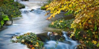 Co to jest naświetlanie paliatywne?