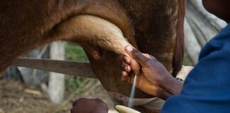 Co jeśli nie dostanę wypłaty na czas?