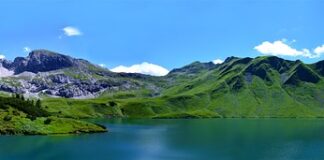 W co inwestować w czasie wysokiej inflacji?