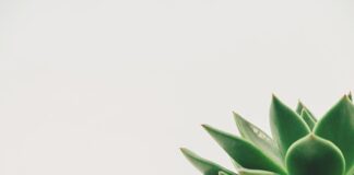 Jaka jest minimalna treść umowy o pracę?