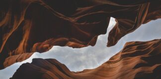 Jakie są formy umowy?