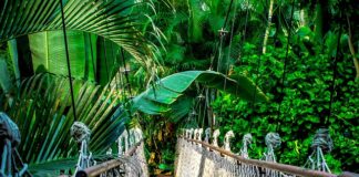 Kto może prowadzić kursy dla nauczycieli?