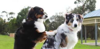 Jak wycofać się z podpisanej umowy o pracę?