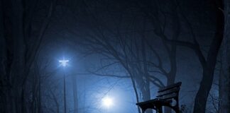 Czy polskie studia są uznawane za granicą?