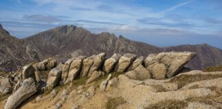 Jak może układać się współpraca?