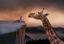 Czy da się żyć z korepetycji? Czy da się żyć z korepetycji?