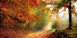 Który rok na medycynie jest najtrudniejszy?