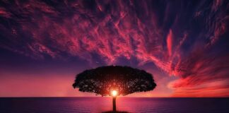 W jaki sposób powstają chmury?