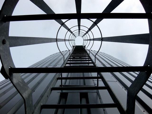 Jakie studia są najbardziej przyszłościowe? Jakie studia są najbardziej przyszłościowe?