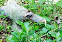 Ile będzie kosztować euro w 2023 roku?