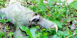 Ile będzie kosztować euro w 2023 roku?