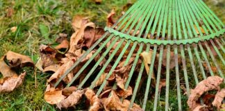 Czy Cinkciarz pobiera prowizję?