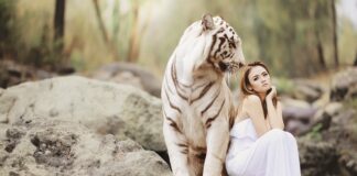 Na czym polega ochrona baz danych?