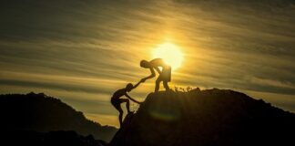 Po jakich studiach jest najlepsza praca?