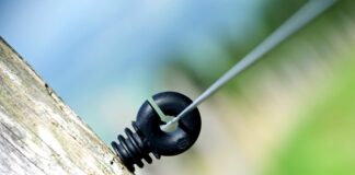 Ile Polaków ma konto w banku?