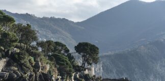 Ile kosztuje story u influencera?