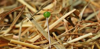 Czy trudno jest zdać IELTS?