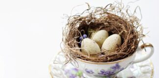 Kto płaci za odnowienie kursu na przewóz rzeczy?