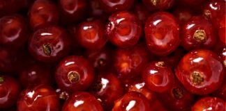 Gdzie najlepiej wyjechać na studia?