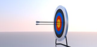 W jaki sposób można poprzez kulturę organizacyjną wpływać na efektywność funkcjonowania organizacji?