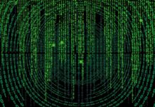 Które nazwy są serwerami baz danych? Które nazwy są serwerami baz danych?