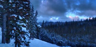 Czy licencjat z pedagogiki daje przygotowanie pedagogiczne?